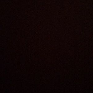 Meet your Posher, Sienna